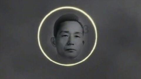 大闸蟹价格较节前下降一半，行业协会：并非阳澄湖大闸蟹，该怎样识别？