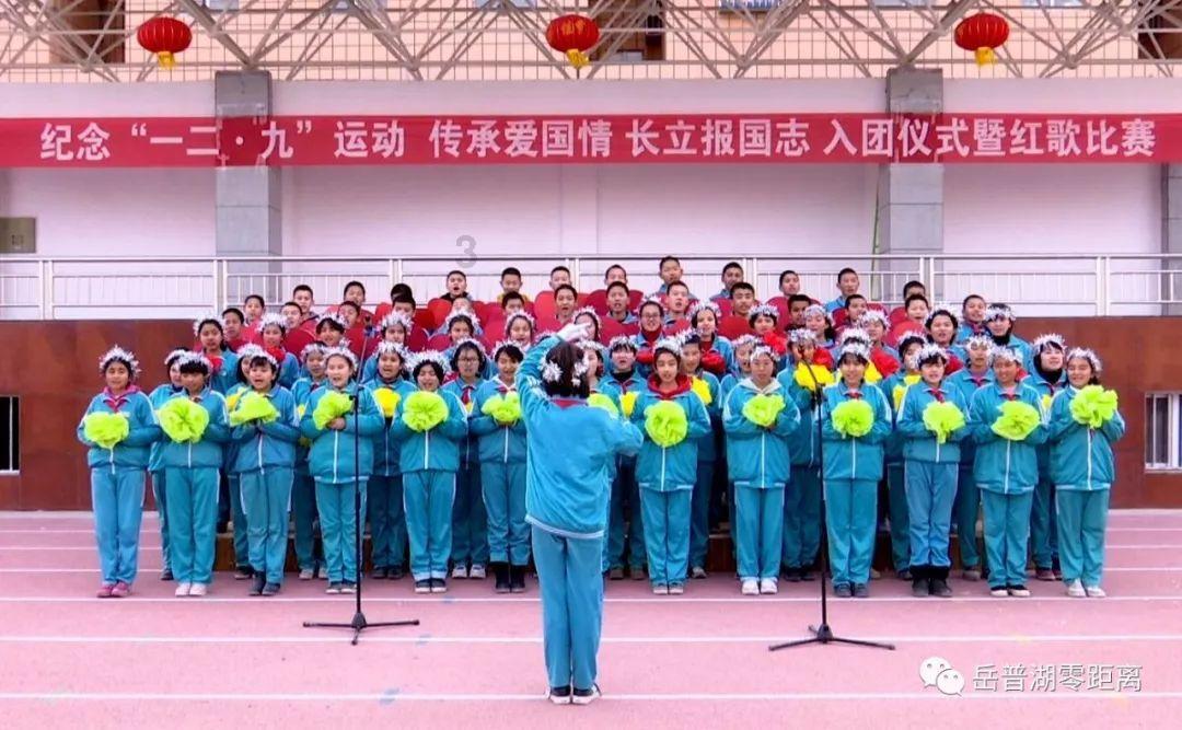 寻找火鸡