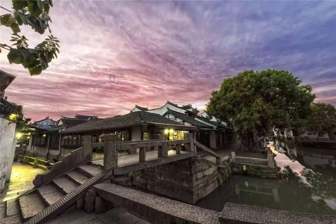 植物大战僵尸